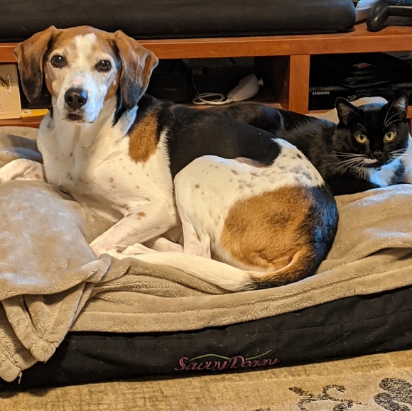 Meet your Posher, Laura - Picture 3 of 3